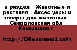  в раздел : Животные и растения » Аксесcуары и товары для животных . Свердловская обл.,Камышлов г.